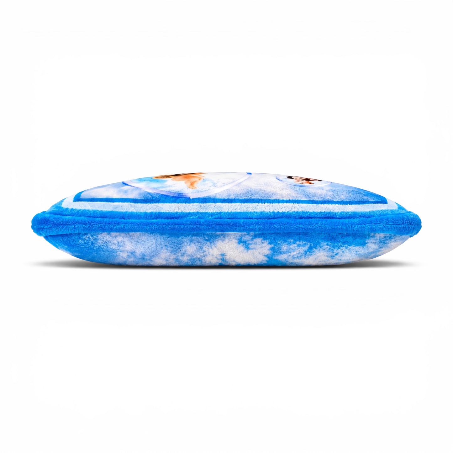 Frutiger Aero Cat Dog Pillow Cover