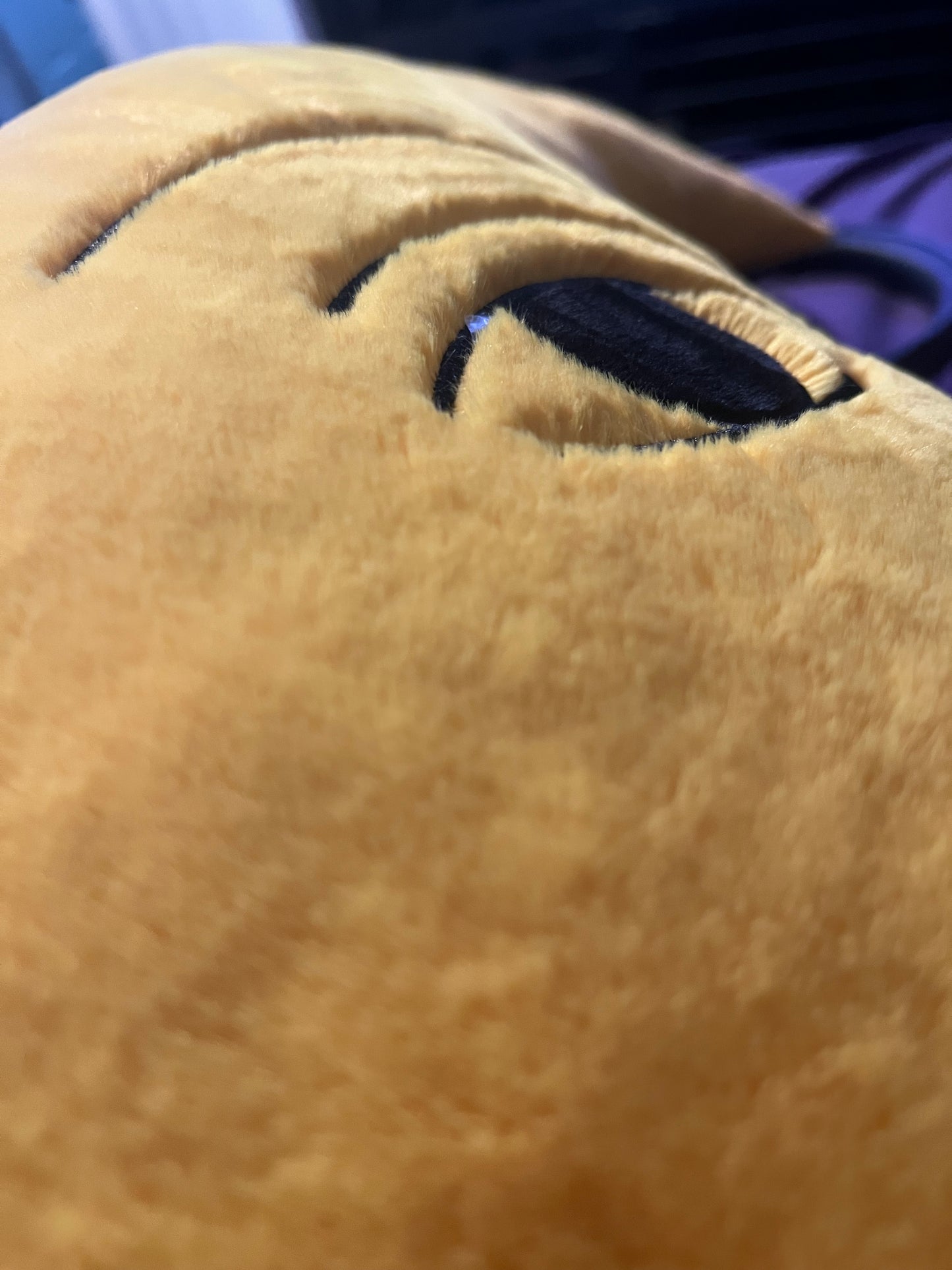 Celestial Pillow Trio