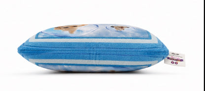 Frutiger Aero Cat Dog Pillow Cover